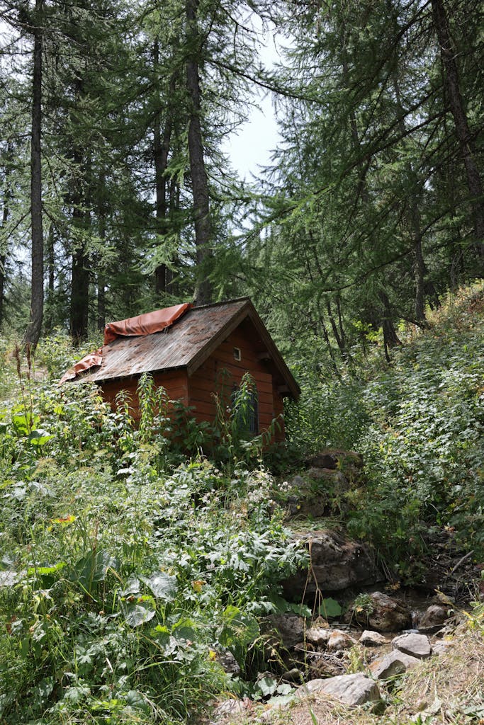 A small cabin in the woods
